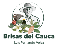 Sitio Web-02